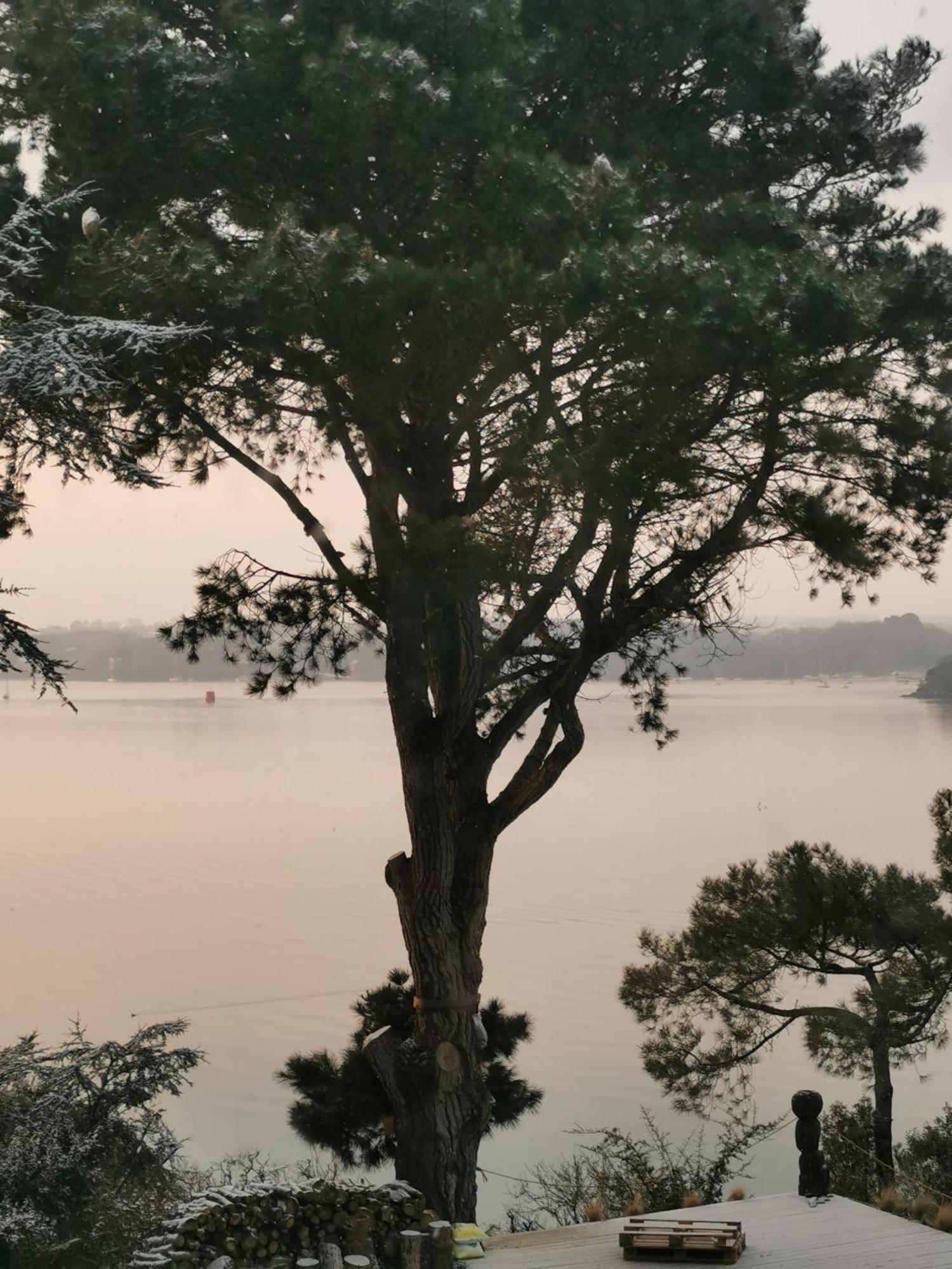 圣马洛Les Pieds Dans L'Eau公寓 外观 照片